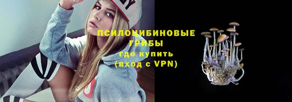 не бодяженный Алзамай
